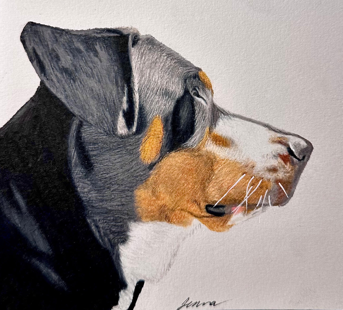 Colored Pencil Animal Portrait